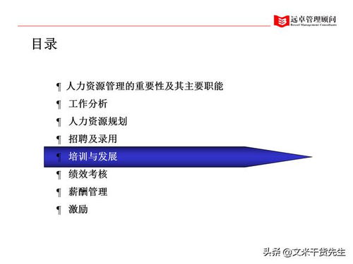 知名咨詢公司客戶案例 100頁(yè)人力資源管理的全面提升,系統(tǒng)完整