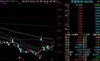 金股預測晚間版 兆新股份等三股后市備受關注，軟件開發銷售領域蘊藏潛力